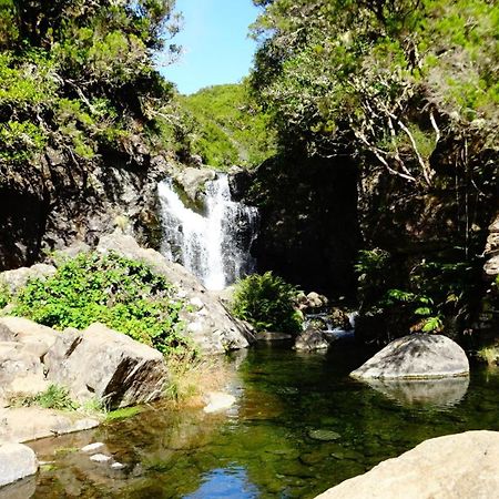 Stay In Madeira Фуншал Номер фото