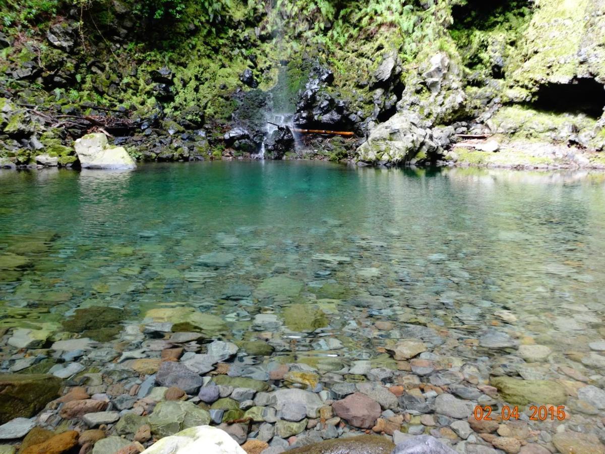 Stay In Madeira Фуншал Екстер'єр фото